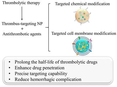 Thrombus-Targeting Polymeric Nanocarriers and Their Biomedical Applications in Thrombolytic Therapy